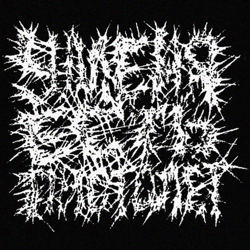 I Have A Gun LP