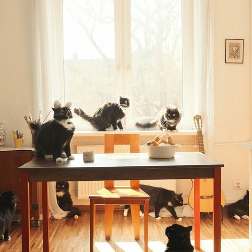 Sunday Supper