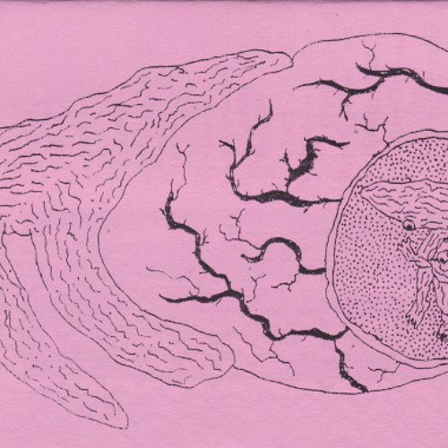 Power Hour Value Pack