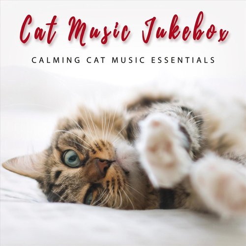 Calming Cat Music Essentials