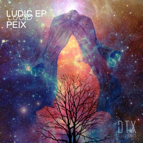 Ludic - Single