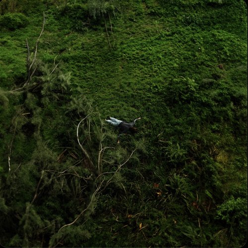 SELDOM [Explicit]