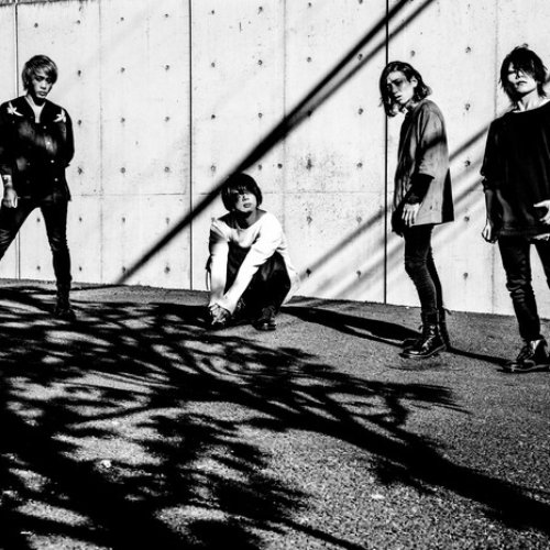 Colors Noisycell Last Fm