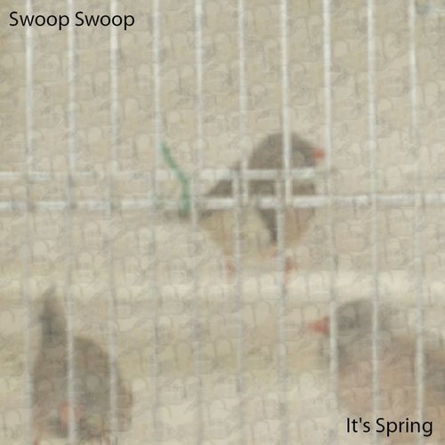 It's Spring