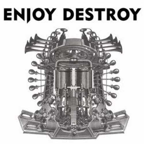 Enjoy Destroy