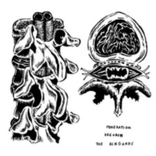 Moderation Decorum