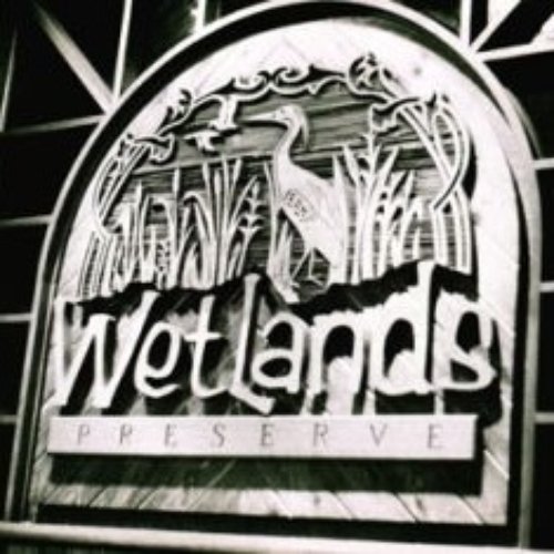 1996-06-21: Wetlands, New York, NY, USA