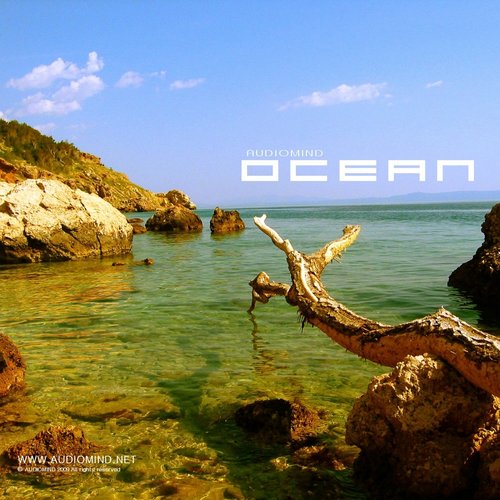 Ocean