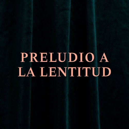 Preludio a la lentitud