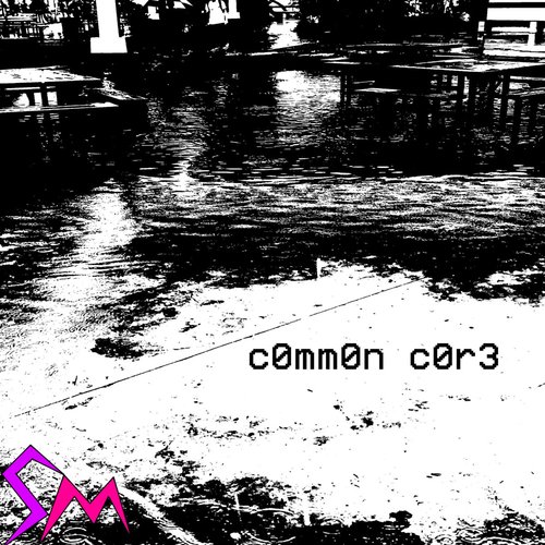 c0mm0n c0r3