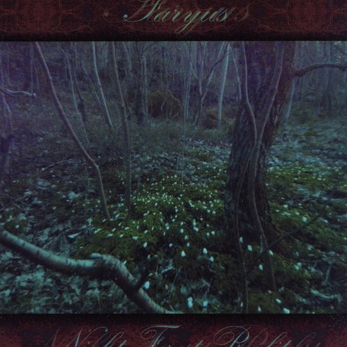Night Forest Reality