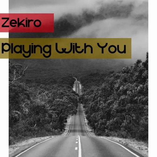 Playing With You