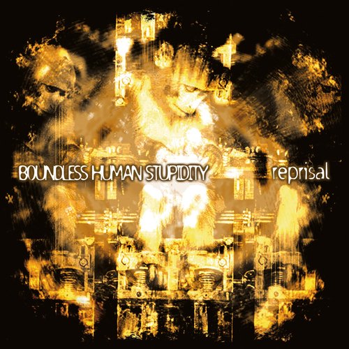 Boundless Human Stupidity