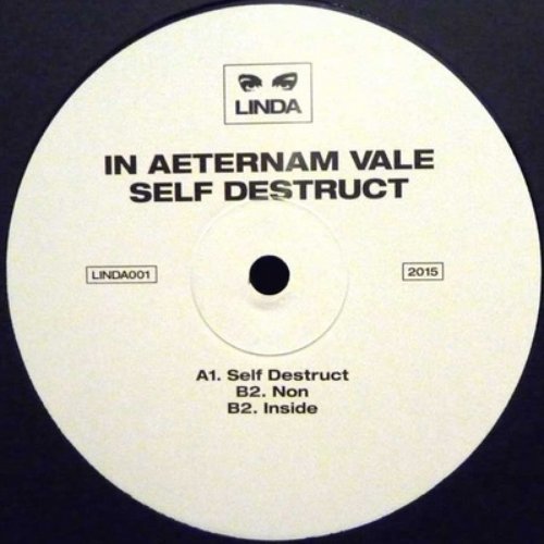 Self Destruct