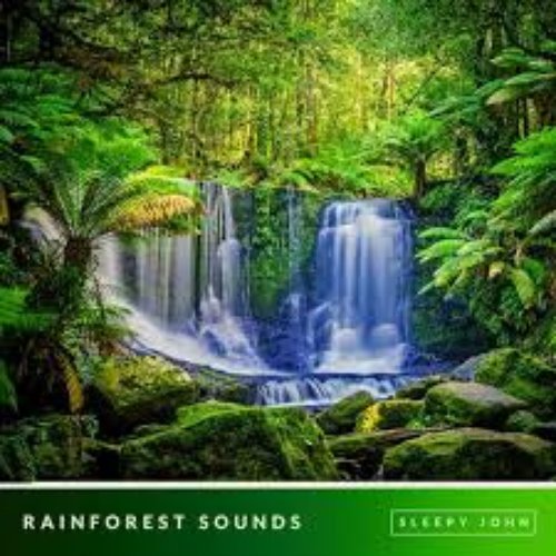 Rainforest - Sleep & Nature Sounds