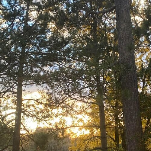 A Forgotten Name (20th anniversary edition)