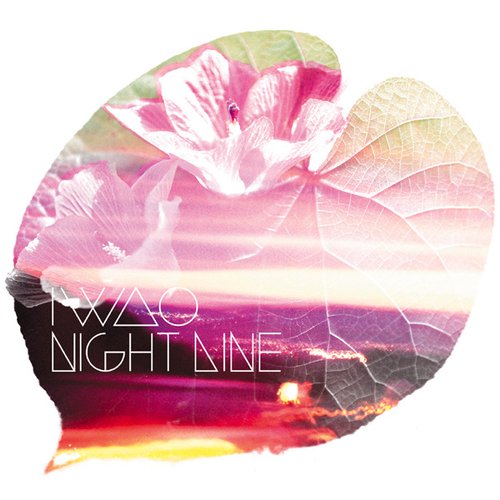 NIGHT LINE