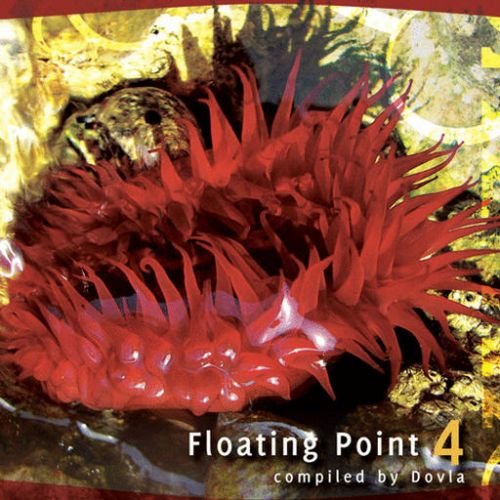 Floating Point 4