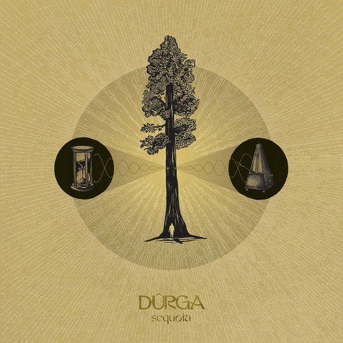 sequoia