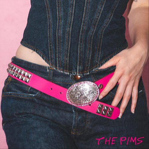 The PIMS - Single