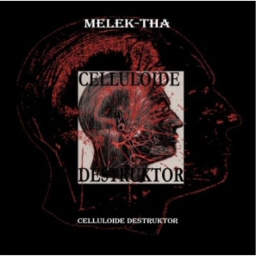 Celluloide Destruktor
