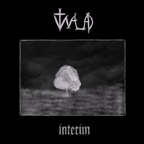 interim