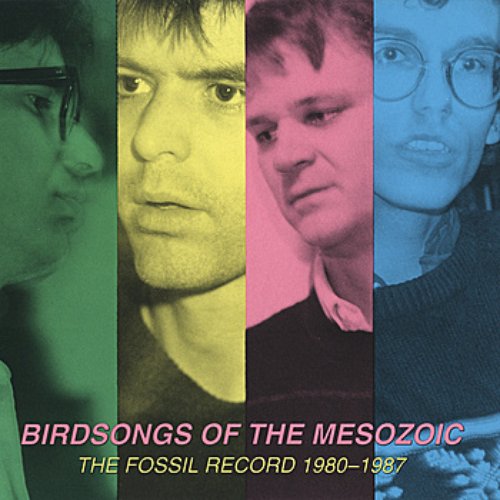 The Fossil Record 1980-1987