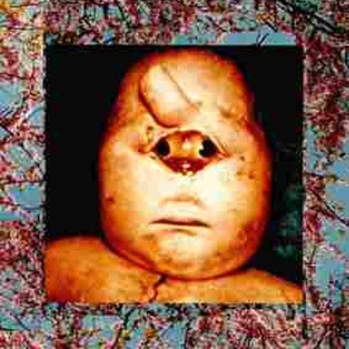 Fetus Reproductions