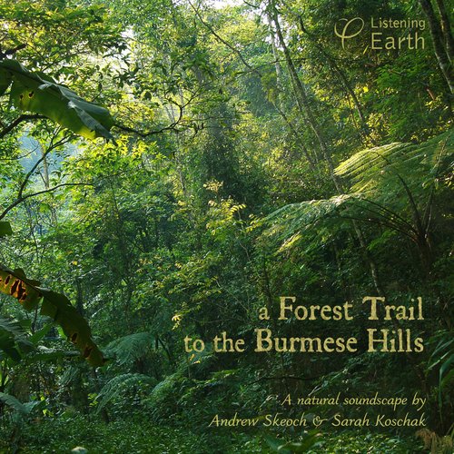 A Forest Trail to the Burmese Hills