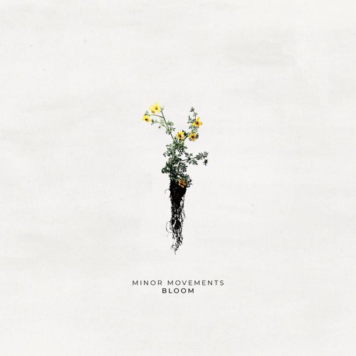 Bloom