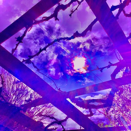 Moonflower - EP