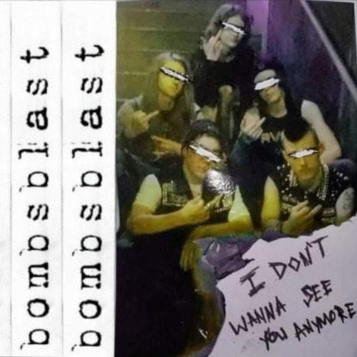 I Don't Wanna See You Anymore - Single