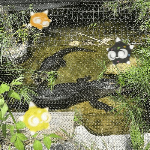 Law of Attraction - Single