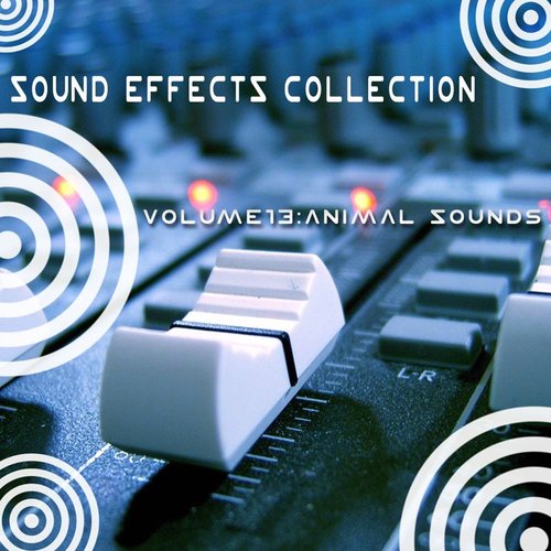 Sound Effects Collection 13 - Animal Sounds