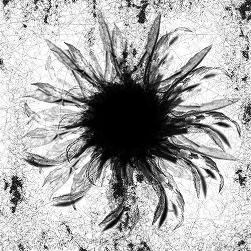Melancholia