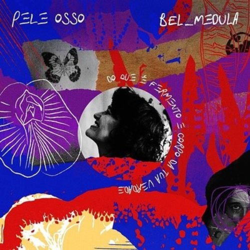 Pele / Osso