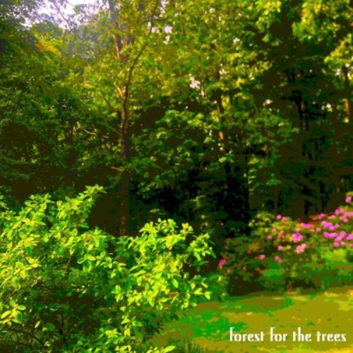 Forest for the Trees