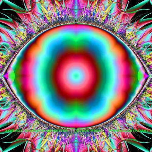 Real Eyes Realize Real Lies