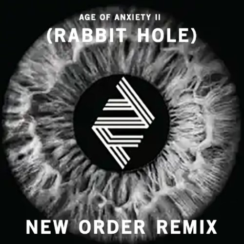 RABBIT HOLE (NEW ORDER REMIX)