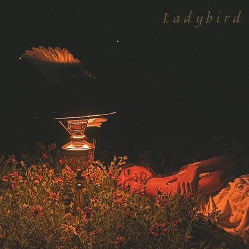 Ladybird