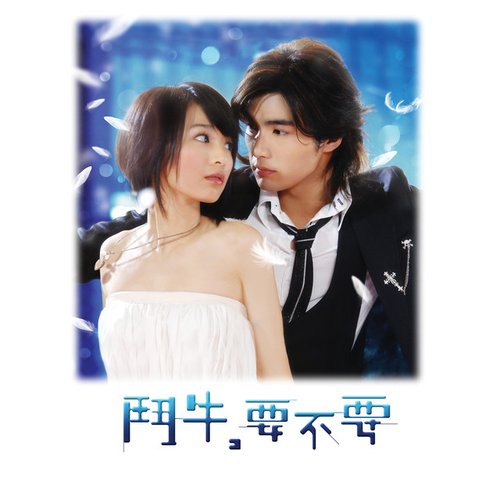 鬥牛, 要不要