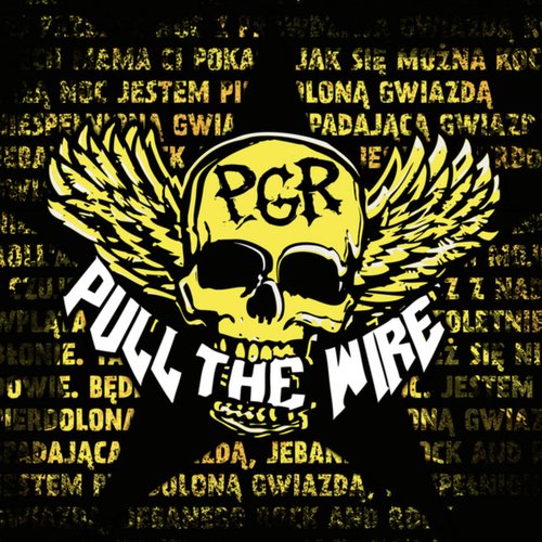 PGR (Radio Edit) [Live] - Single