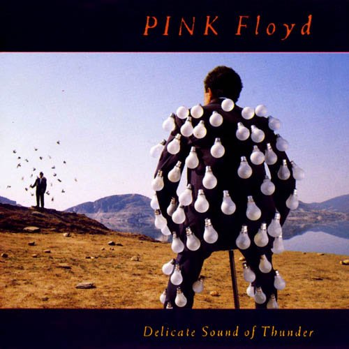 Delicate Sound of Thunder (disc 1)