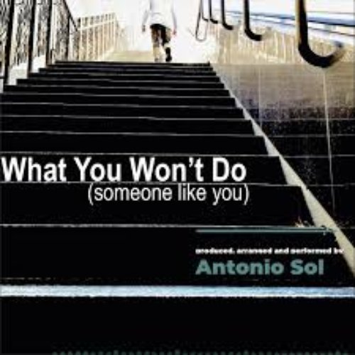 What You Won't Do (Someone Like You)