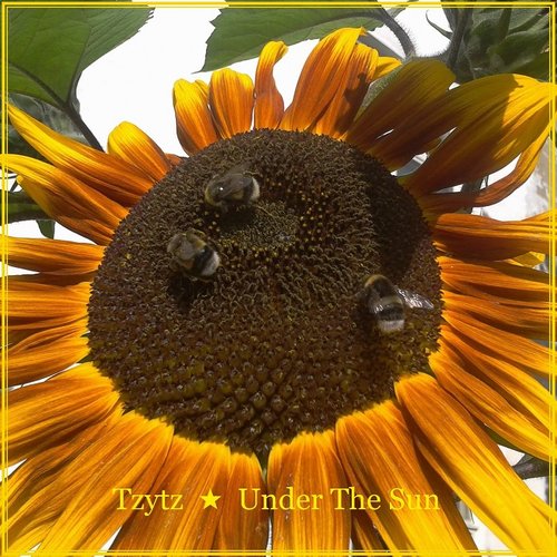 Under The Sun