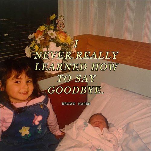 I Never Really Learned How To Say Goodbye.