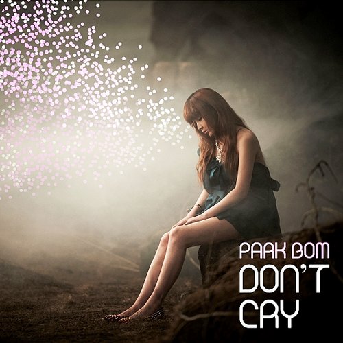 Don't Cry - Single