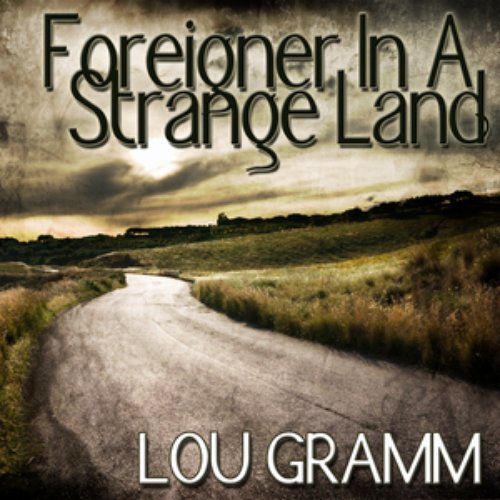 Foreigner In A Strange Land