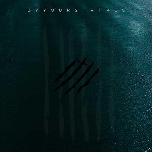 By Your Stripes