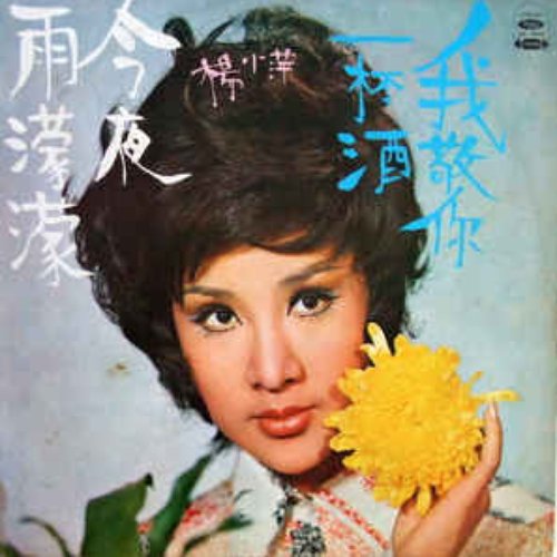 今夜雨濛濛 / 我敬你一杯酒